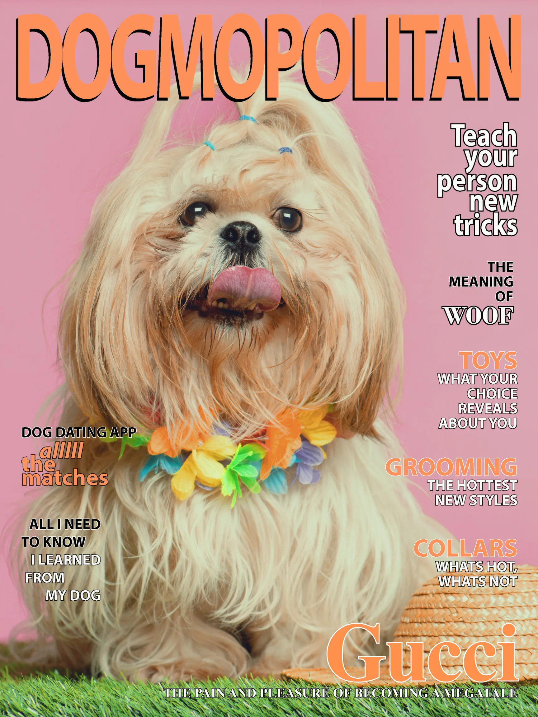 Dog magazine cover portrait Rockland MA