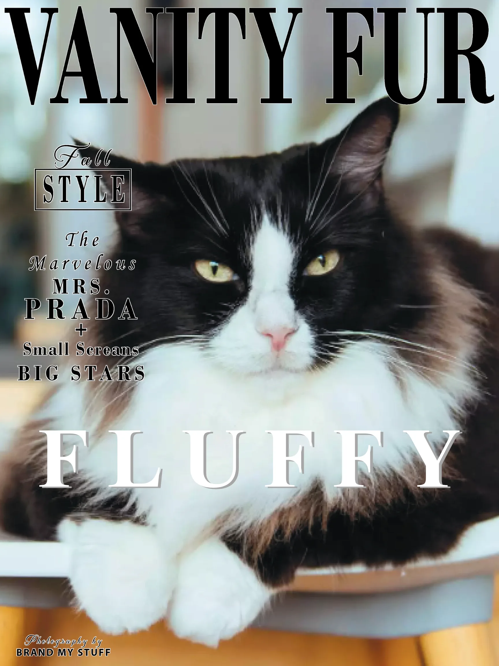 Pet magazine cover portrait Massachusetts